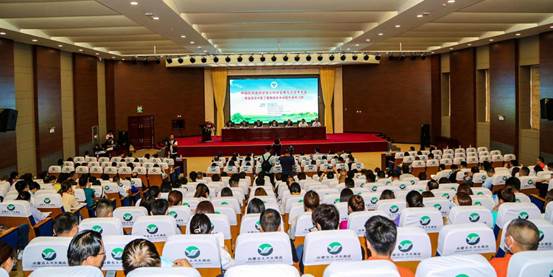 278544617ef6719c039d7b22e16e7ca